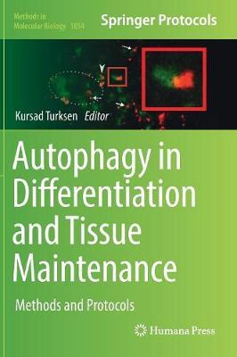 Autophagy in Differentiation and Tissue Maintenance on Hardback