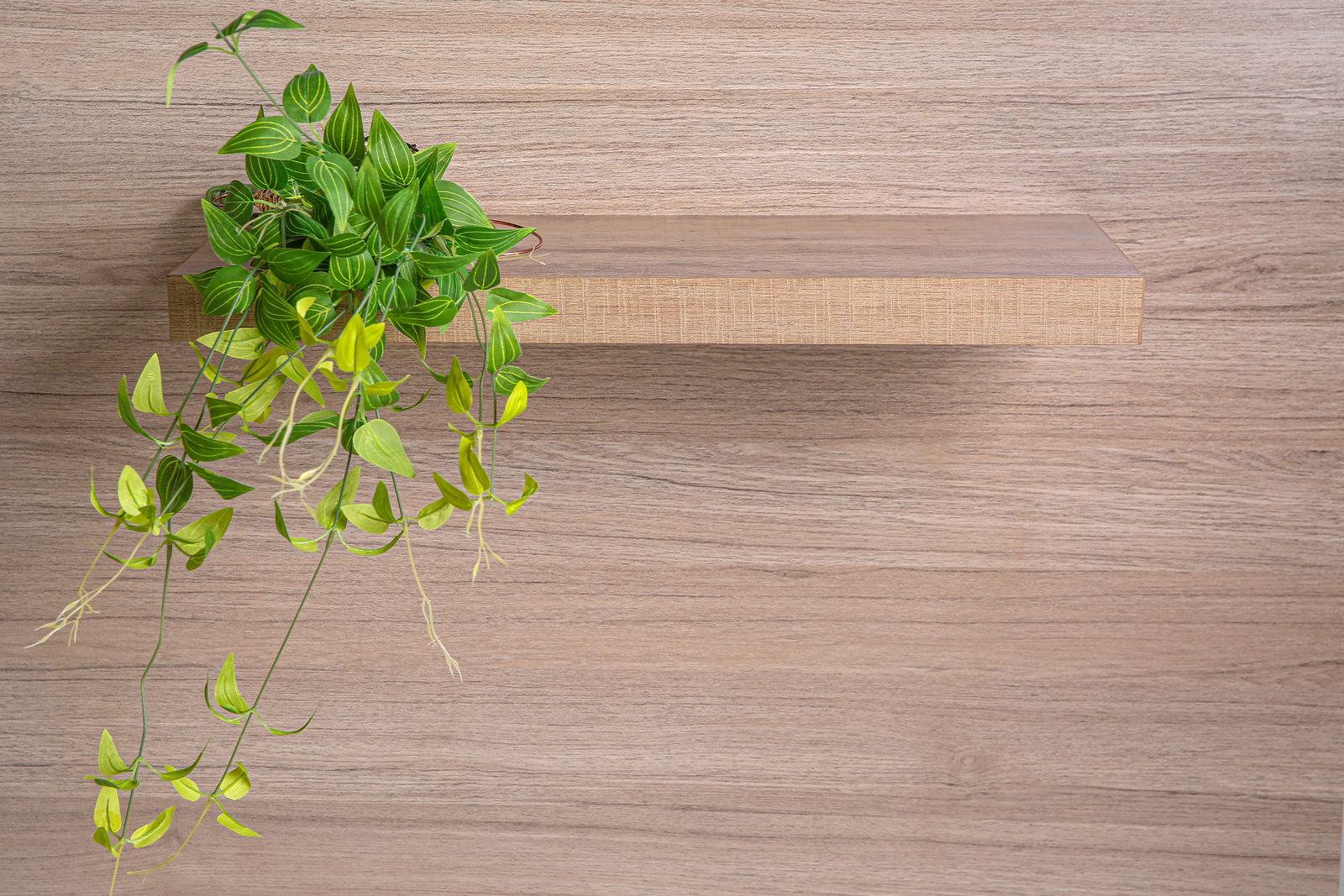 Buy Home Office Floating Shelf Wood Grain at Mighty Ape NZ
