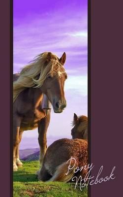Pony Notebook: Ponies / Horses / Gifts / Presents / Cuaderno ( Ruled Notebook for Horse Lovers ) by Smart Bookx image
