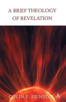 A Brief Theology of Revelation image