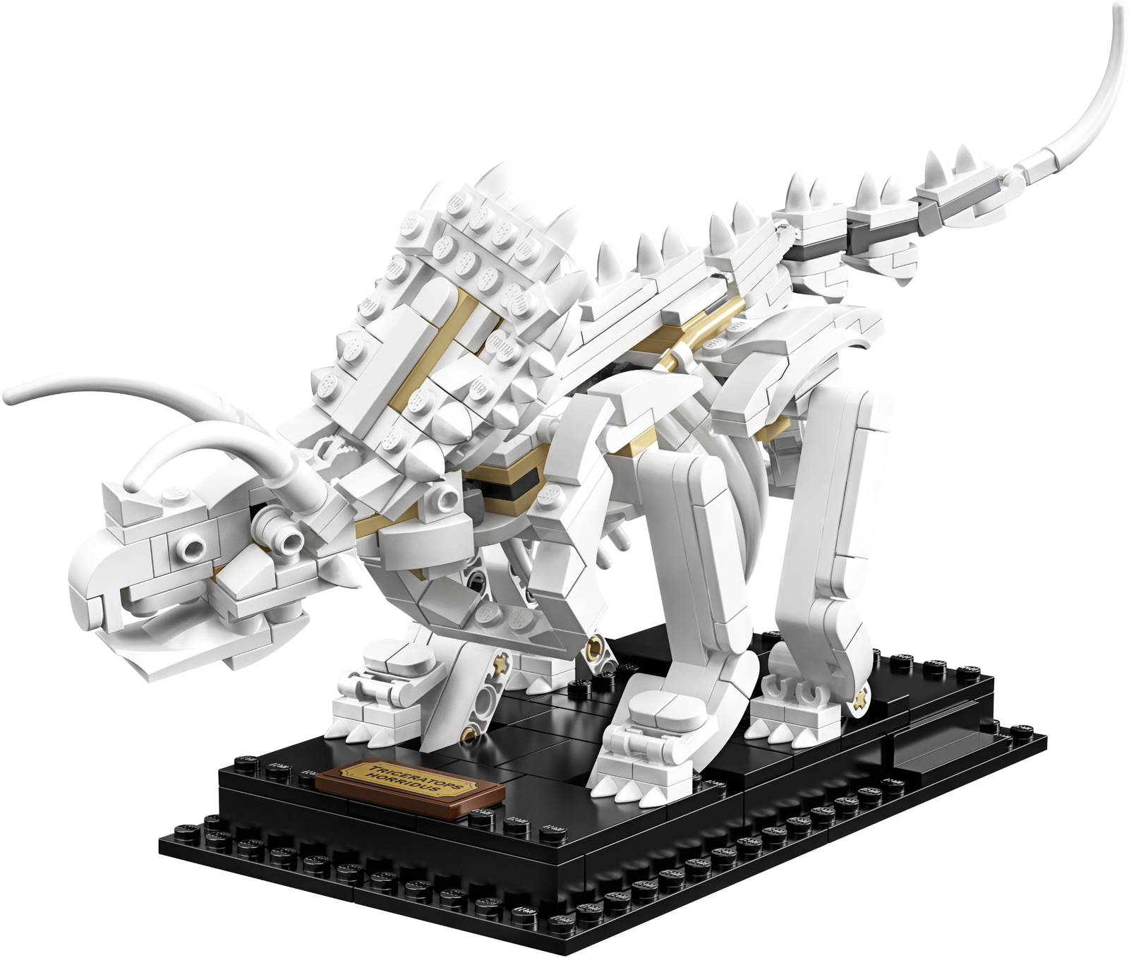 LEGO Ideas - Dinosaur Fossils image