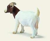 Schleich - Boer She-Goat Schleich - Boer She-Goat