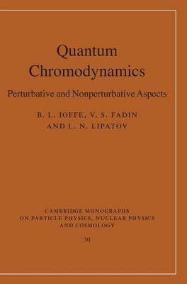 Cambridge Monographs on Particle Physics, Nuclear Physics and Cosmology: Series Number 30 by B.L. Ioffe image