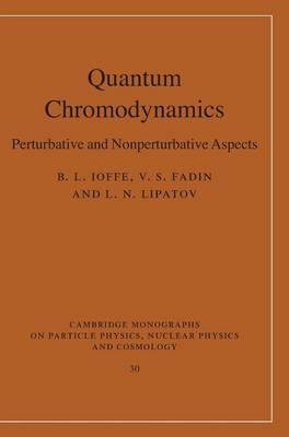 Quantum Chromodynamics on Hardback by B.L. Ioffe