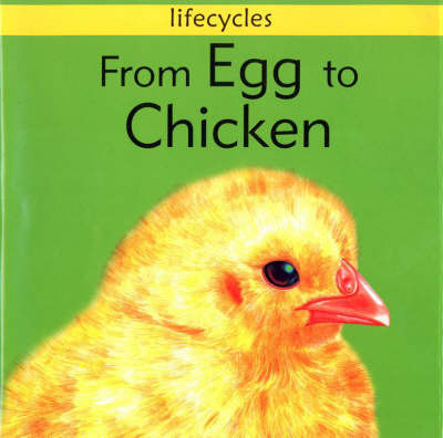 From Egg to Chicken by Gerald Legg image