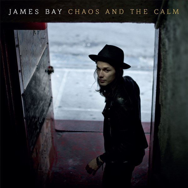 Chaos And The Calm by James Bay image