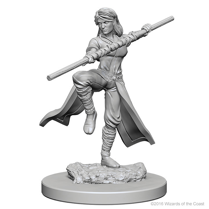 D&D Nolzur's Marvelous: Unpainted Minis - Human Female Monk image