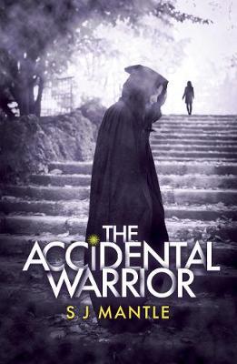 The Accidental Warrior by S J Mantle image