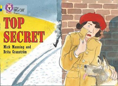 Top Secret by Mick Manning image