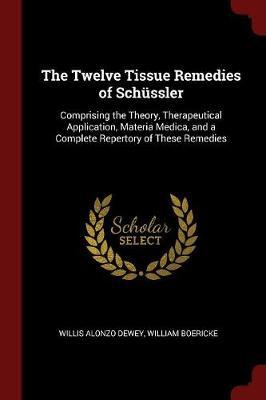 The Twelve Tissue Remedies of Schussler by Willis Alonzo Dewey image