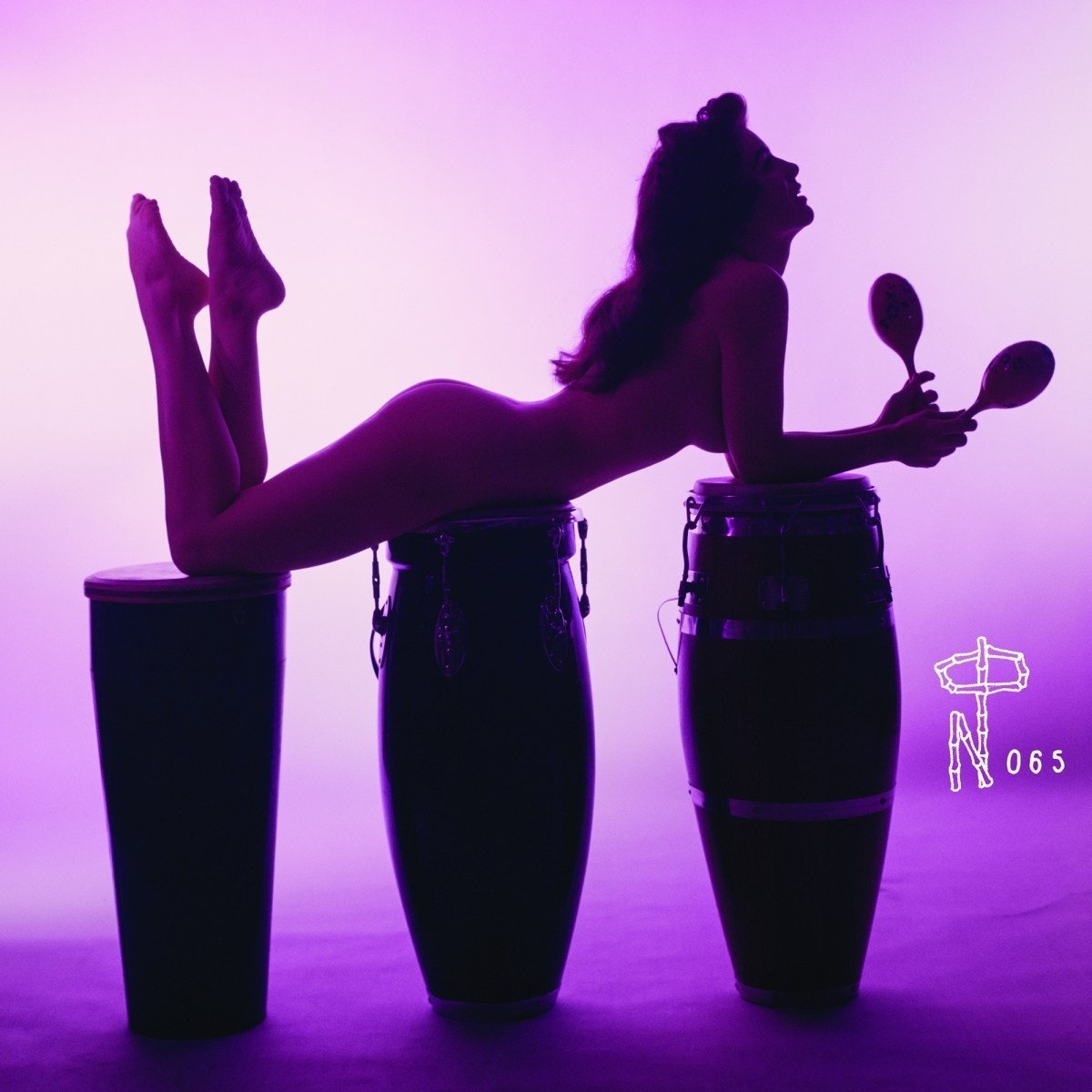 Technicolor Paradise: Rhum Rhapsodies & Other Exotic Delights by Various Artists image