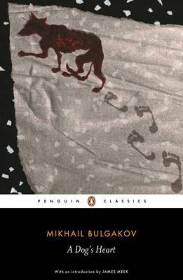 A Dog's Heart by Mikhail Afanas?evich Bulgakov image