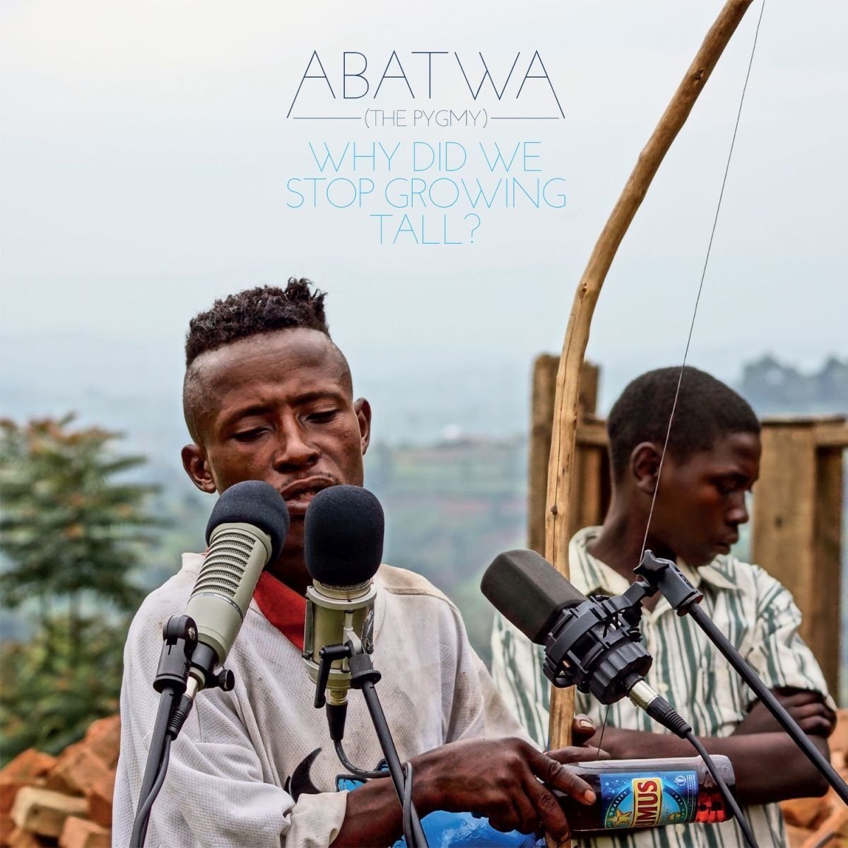 Abatwa (The Pygmy): Why Did We Stop Growing Tall? (LP) by Various Artists image