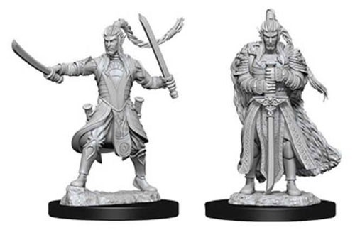 D&D Nolzur's Marvelous: Unpainted Miniatures - Male Elf Paladin image