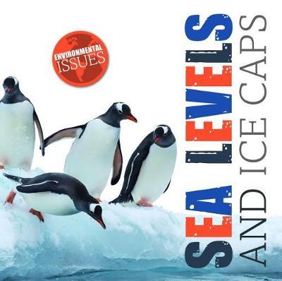 Sea Levels and Ice Caps by Emilie Dufresne image