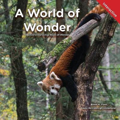 A World of Wonder by Brent A Ford image