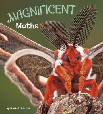 Magnificent Moths by Martha E.H. Rustad image