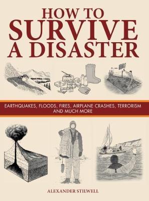 How to Survive a Disaster by Alexander Stilwell image