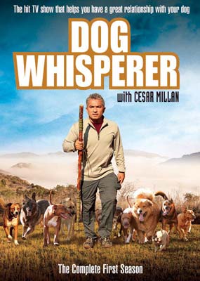 Dog Whisperer - The Complete 1st Season (4 Disc Set) on DVD image