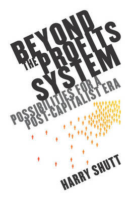 Beyond the Profits System by Harry Shutt image