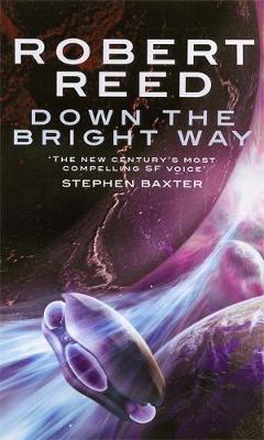 Down The Bright Way by Robert Reed image