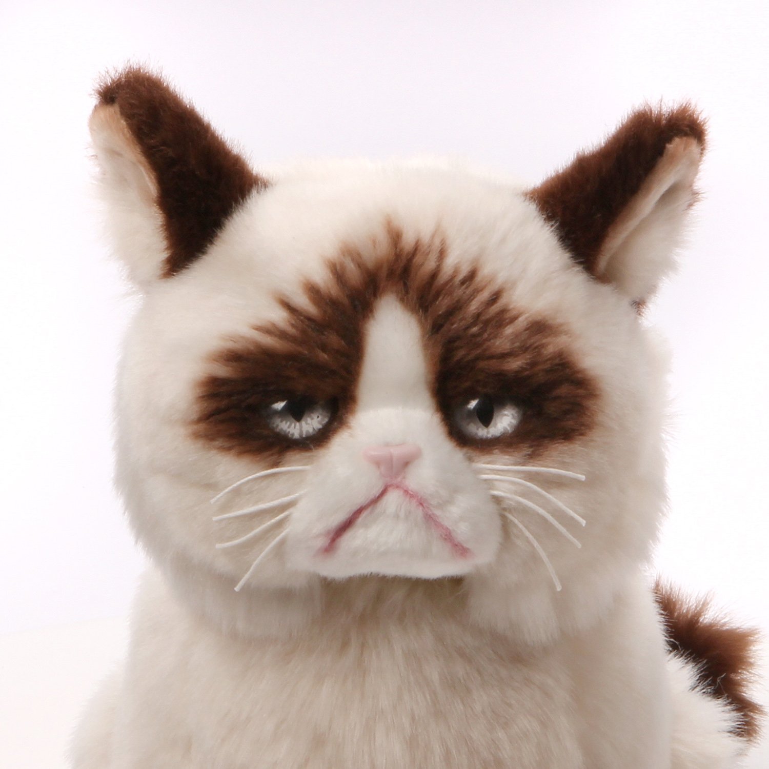 Grumpy Cat Plush Toy (9") image