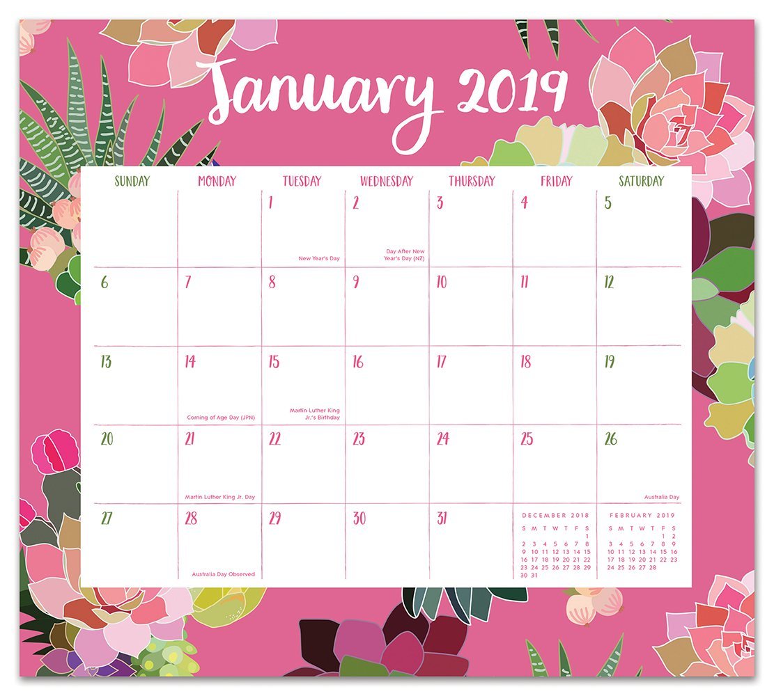 Mia Charro: Succulent 2019 Magnetic Monthly Planner image