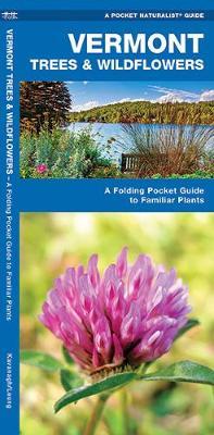 Vermont Trees & Wildflowers : An Introduction to Familiar Species by Senior Consultant James Kavanagh (Senior Consultant, Oxera Oxera Oxera) image