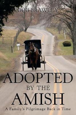 Adopted by the Amish by Bob Brawley image