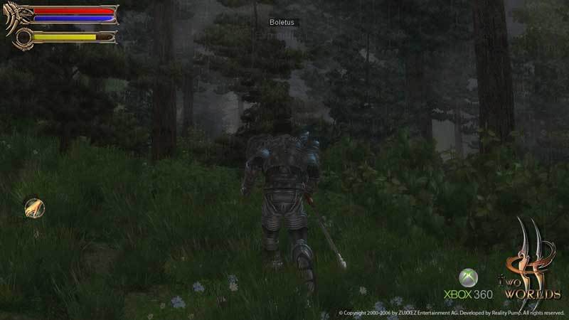 Two Worlds Collector's Edition for Xbox 360 image