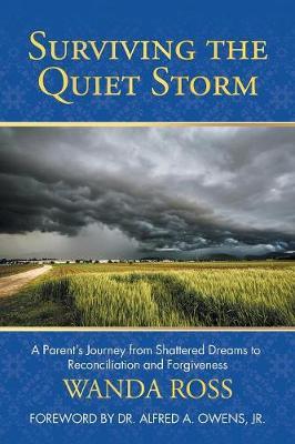 Surviving the Quiet Storm by Wanda Ross image