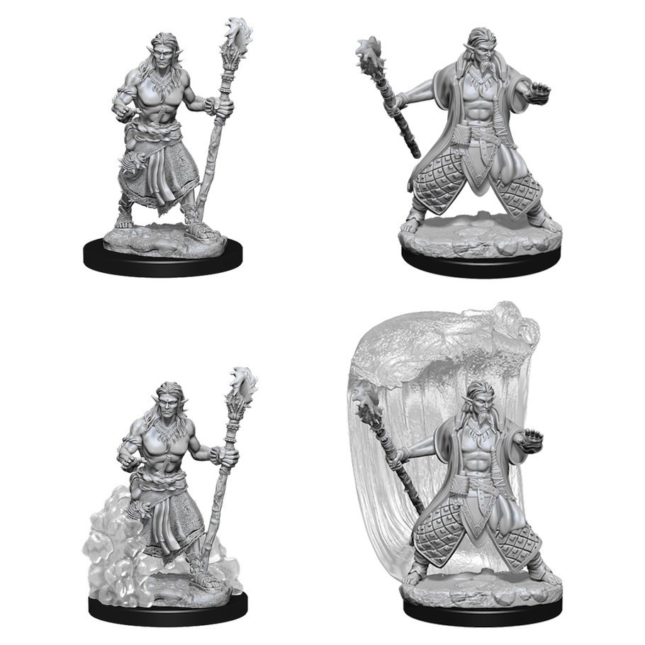 D&D Nolzur's Marvelous: Unpainted Miniatures - Water Genasi Male Druid image