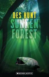 Image result for Sunken forest by des hunt