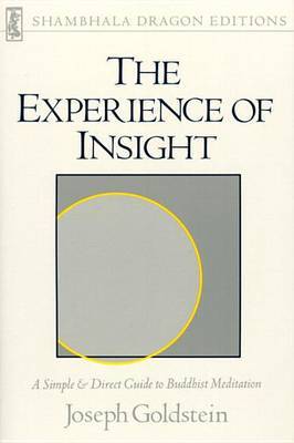 The Experience Of Insight image