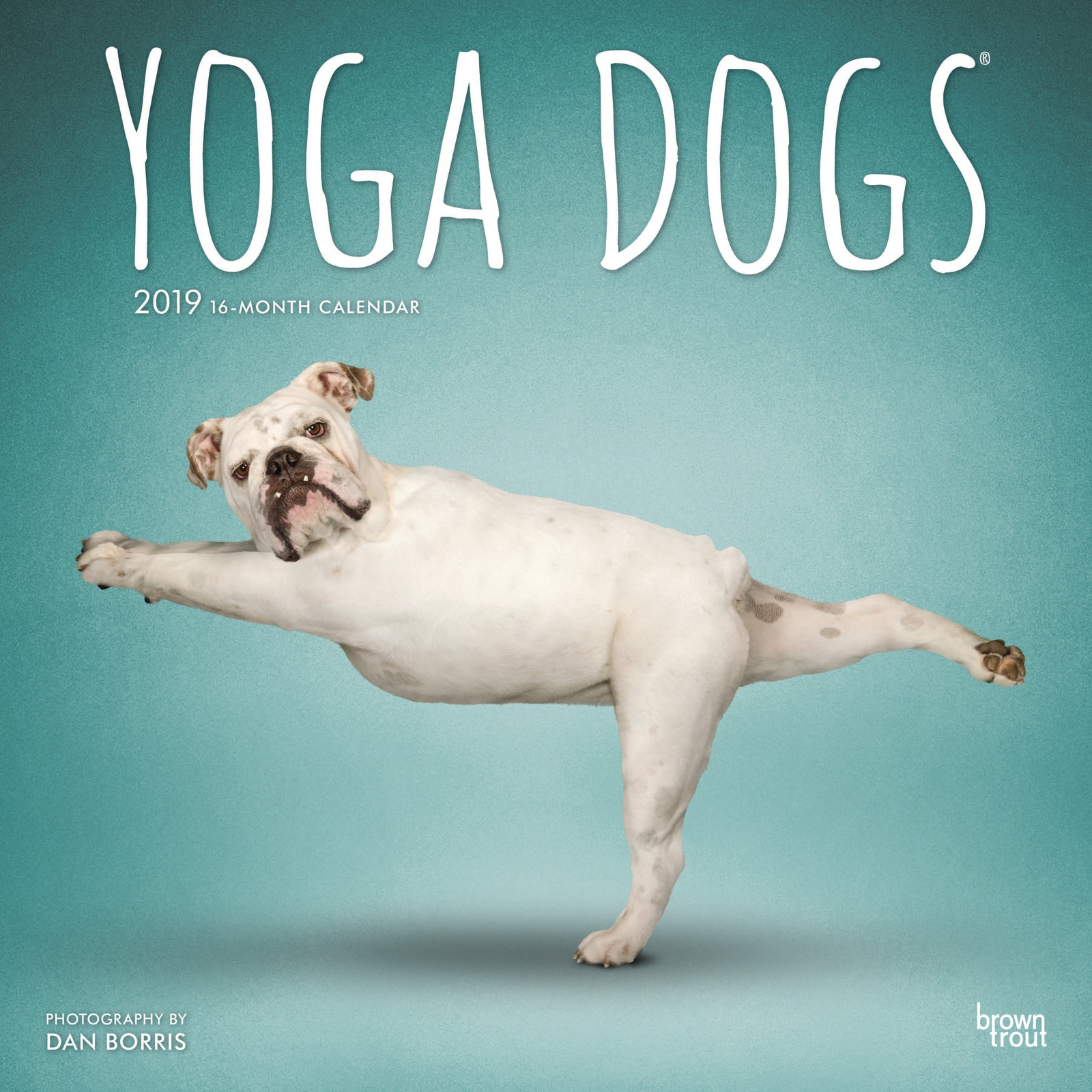 Yoga Dogs 2019 Square Wall Calendar by Inc Browntrout Publishers image