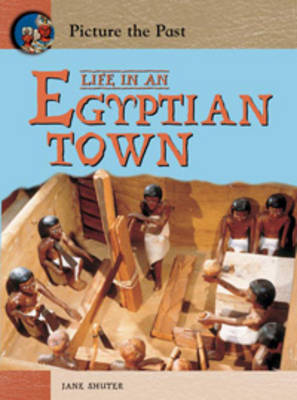 Life In An Egyptian Town on Paperback by Jane Shuter