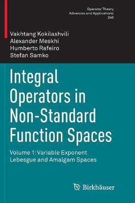 Integral Operators in Non-Standard Function Spaces by Vakhtang Kokilashvili image