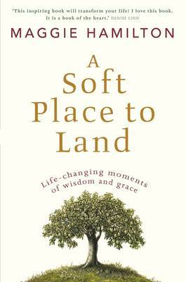 A Soft Place to Land by Maggie Hamilton image