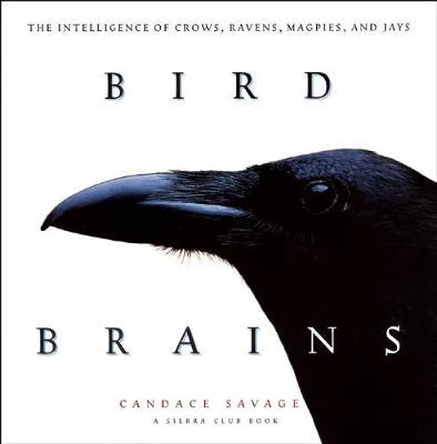 Bird Brains by Candace Sherk Savage image