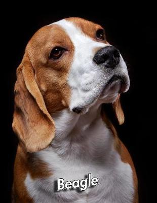 Beagle by Notebooks Journals Xlpress