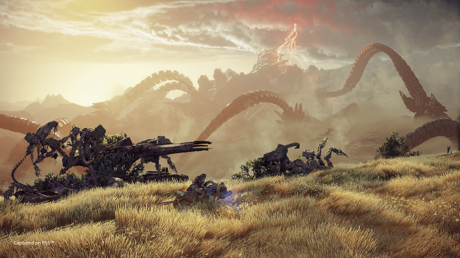 Horizon Forbidden West for PS4 image