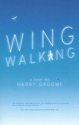 Wing Walking by Harry Groome image