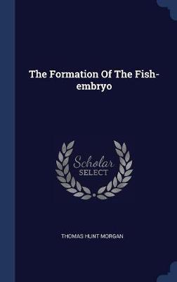 The Formation of the Fish-Embryo image