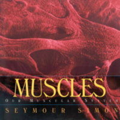 Muscles image