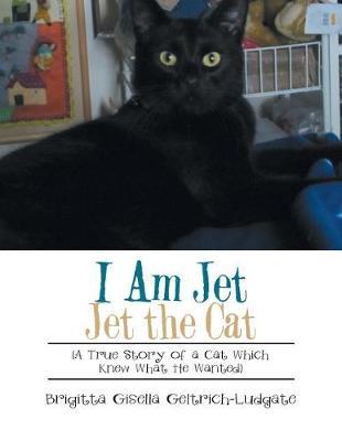 I Am Jet Jet the Cat by Brigitta Gisella Geltrich-Ludgate image