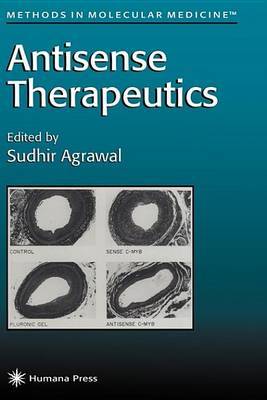 Antisense Therapeutics on Hardback