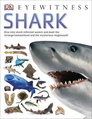 Shark by DK image