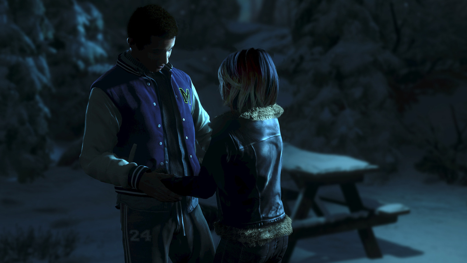 Until Dawn Extended Edition for PS4 image