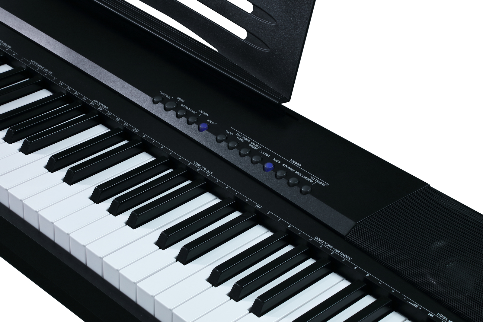 Royale 88 Key Electronic Piano Keyboard & Stand at Mighty Ape NZ