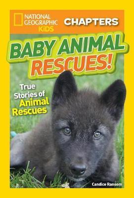Baby Animal Rescues! by Candice Ransom image